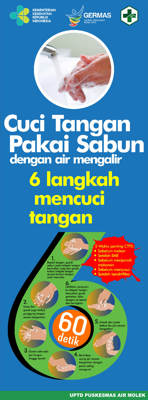 Ilustrasi Pencegahan Tumbuhnya Lumut di Dinding Luar Rumah - Mengenal Musuh Utama: Apa yang Menyebabk